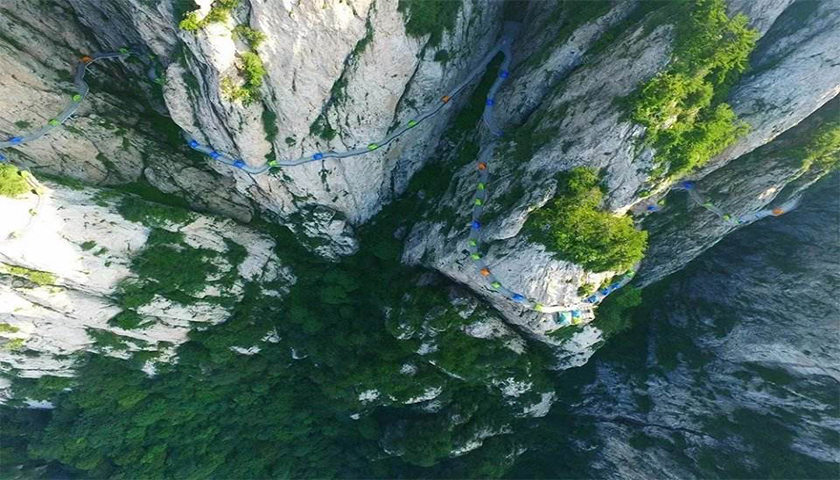 网站建设一定要购买服务器和域名吗